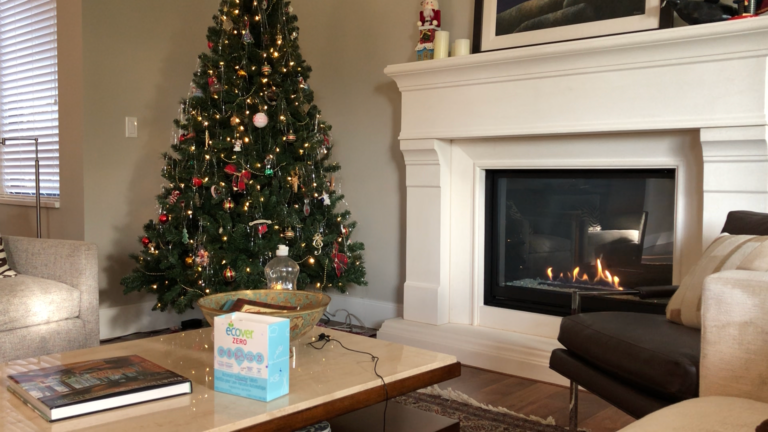 如何参加圣诞节party 90 天挑战90Day challenge