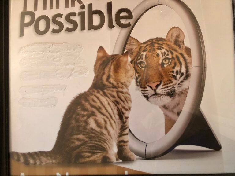 海外移民生活有感  你很重要！