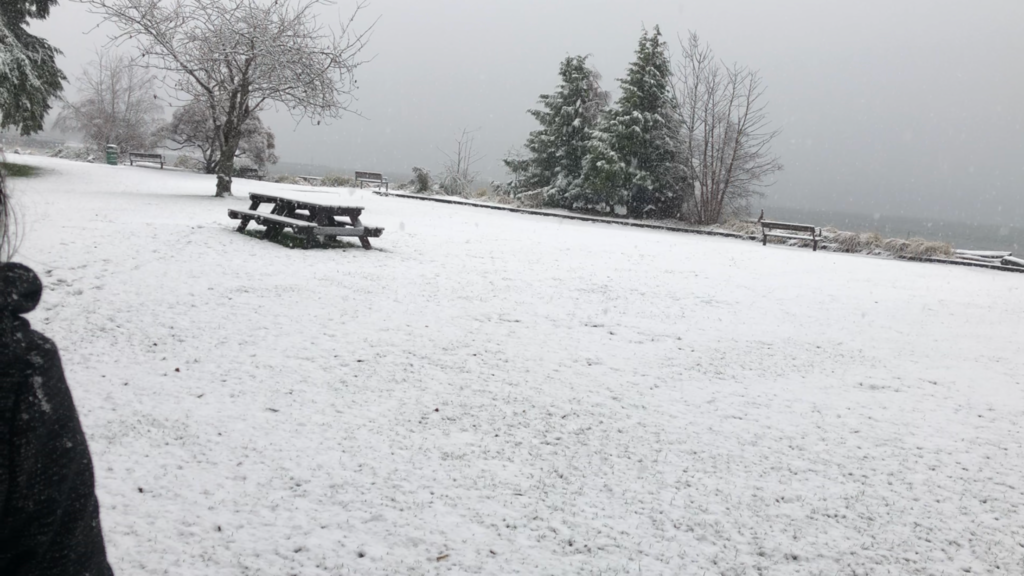 第一次学滑雪必知的教训 My First Skiing Lesson