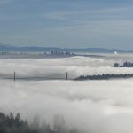 温哥华人间仙境雾景 Vancouver fog
