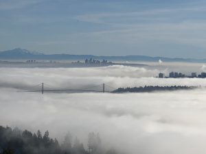 温哥华人间仙境雾景 Vancouver fog