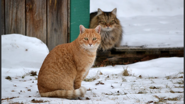 10 个华人最容易发错的英文名字 The Top 10 Most Challenging English Names For Chinese People To Pronounce